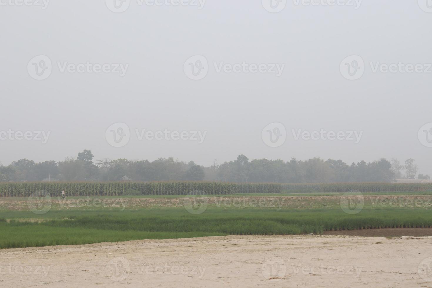 schöner Dorfblick mit Natur foto