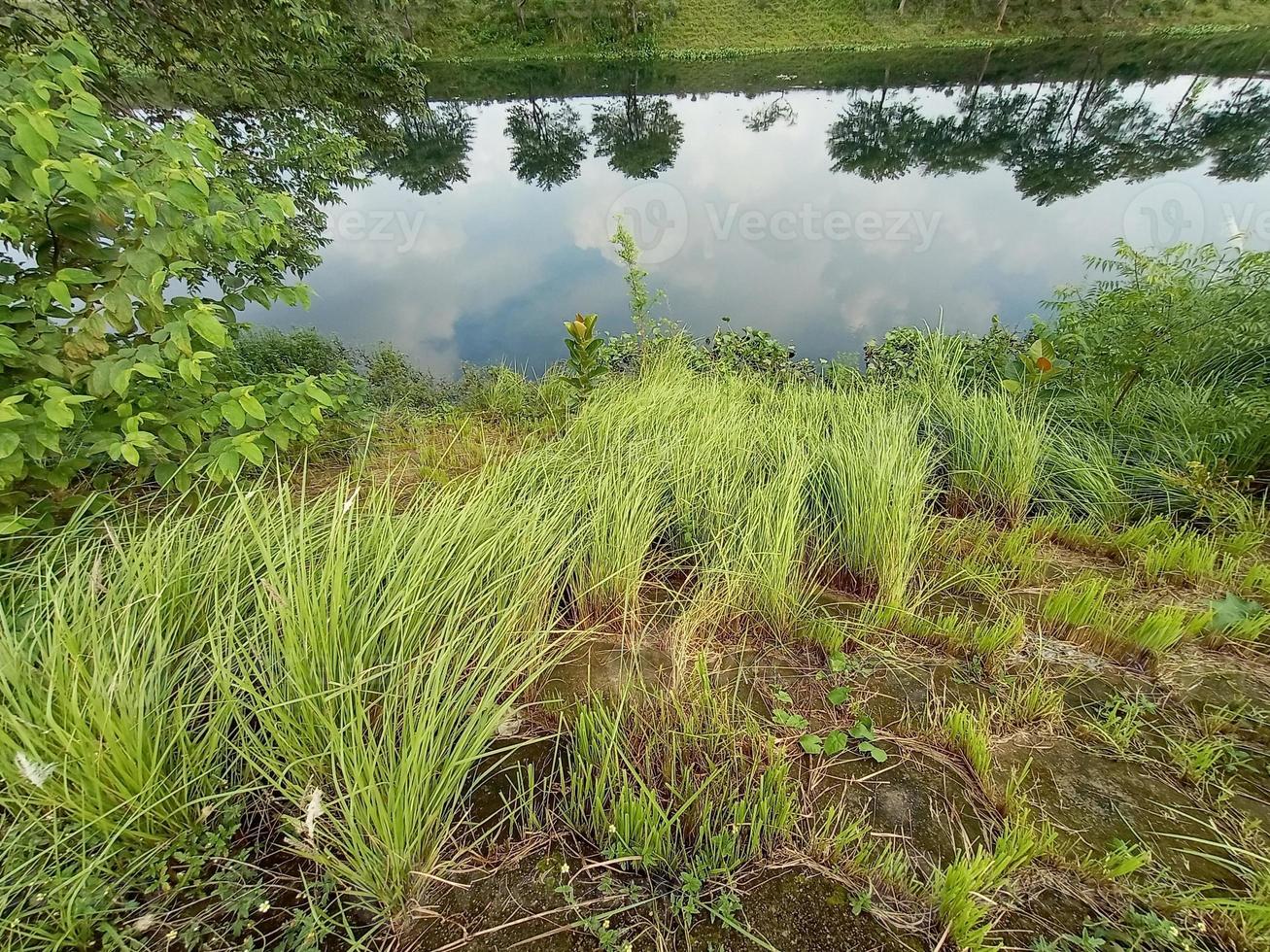 grünes Gras mit See foto