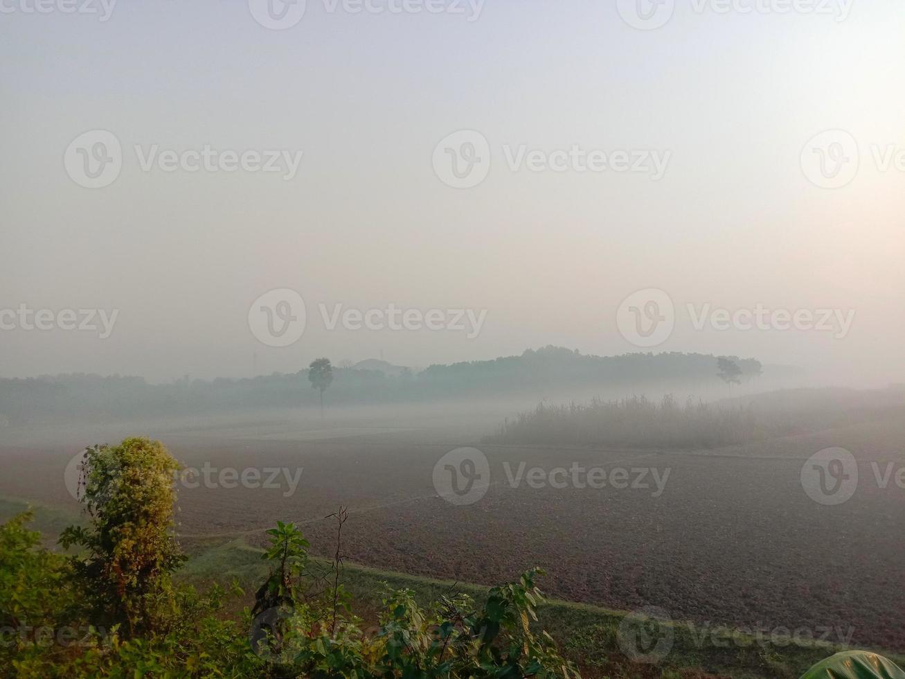 Natur mit Feld und Himmel foto