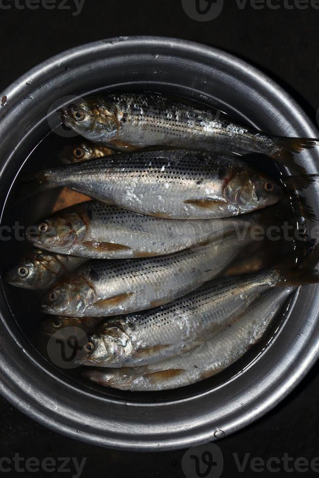 Fischbestand im Laden zu verkaufen foto