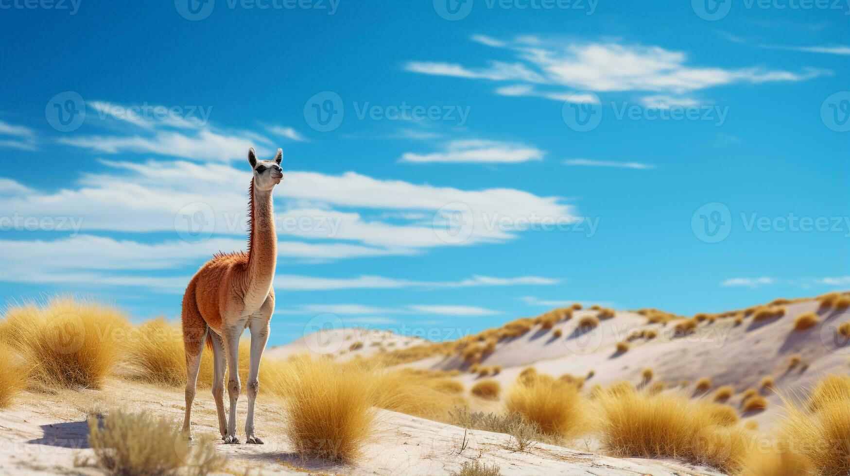 Foto von ein Vicuna unter Blau Himmel. generativ ai