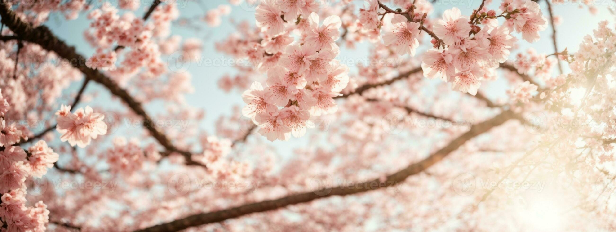Frühling Rand oder Hintergrund Kunst mit Rosa Blüte. schön Natur Szene mit Blühen Baum und Sonne aufflackern. ai generiert foto