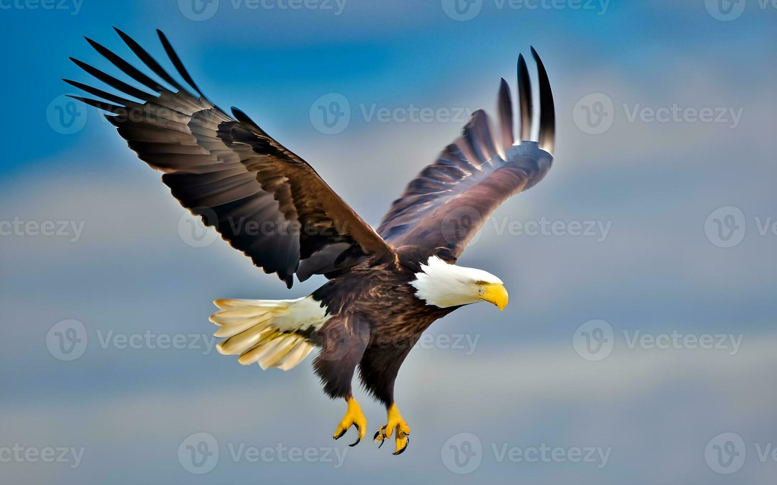 meisterhaft Majestät, ein atemberaubend Blick von das kahl Adlers befehlend Flug. ai generiert foto