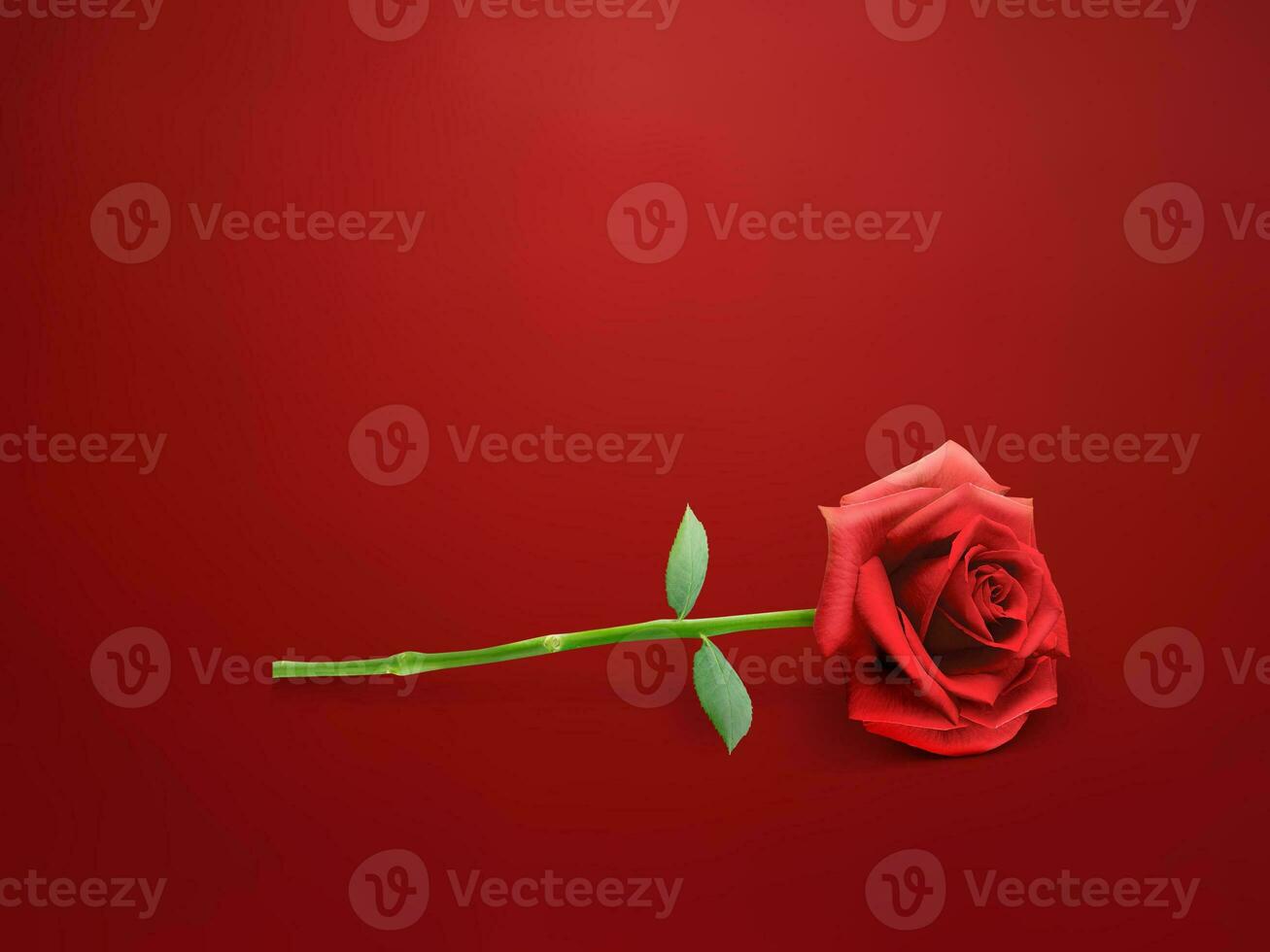schön rot Rose auf ein rot Hintergrund. foto