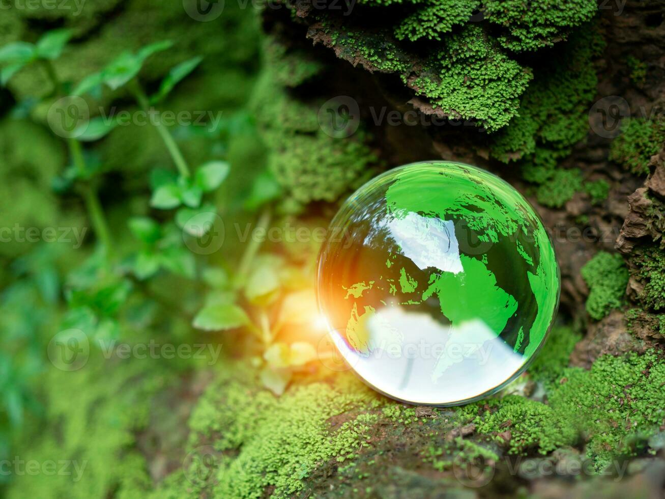 Kristall Ball auf Moos im Grün Wald. Umgebung Konzept Ökologie und nachhaltig Umgebung von das Welt. Erde Tag Konzept. foto