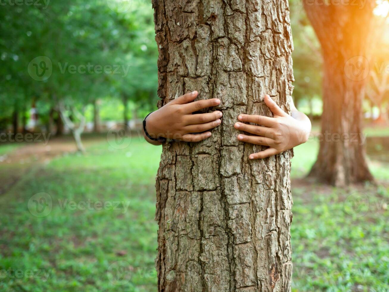 Mensch Hände sind umarmen ein Baum im Liebe. Darstellen Portion zu erhalten das Umfeld. Konzept von Speichern das Welt. foto