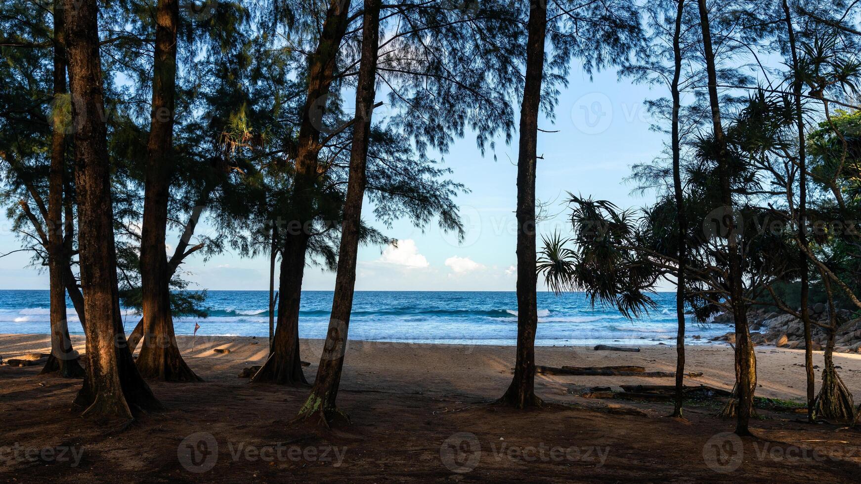 Ruhe Platz mit Kiefer Bäume um von nai thon Strand, Phuket, Thailand. foto