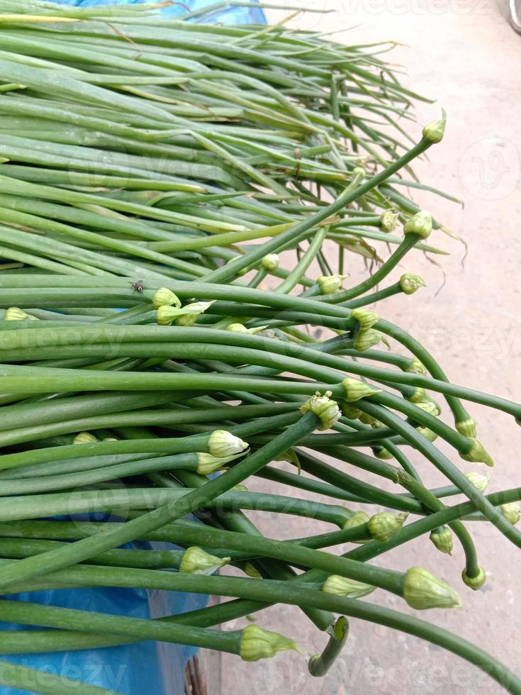 grüner Zwiebelblattvorrat in der Küche foto