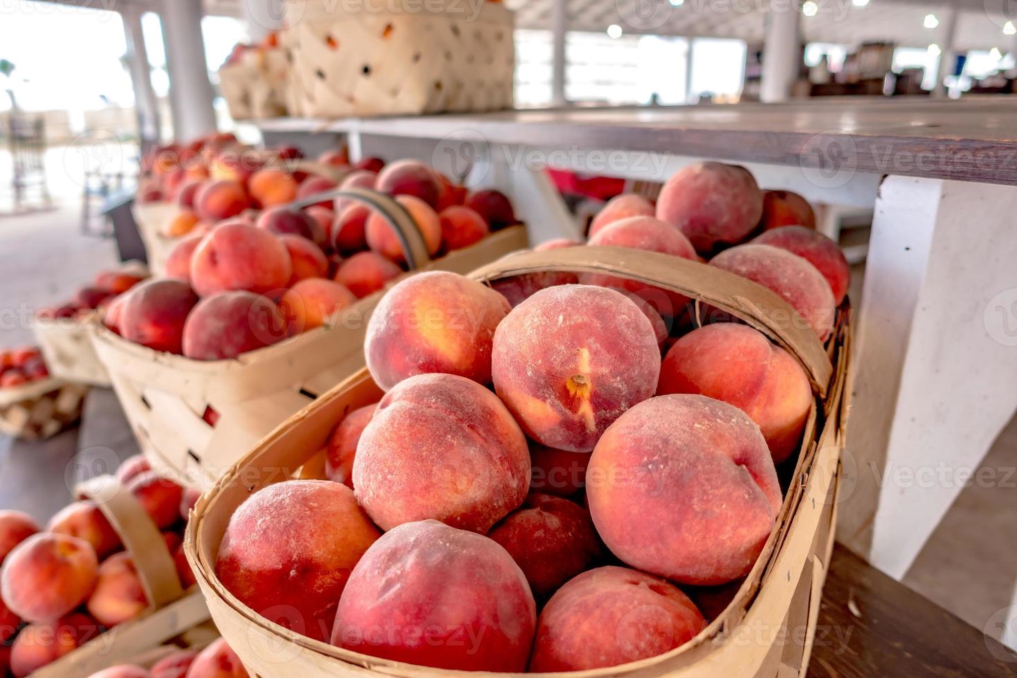 frisches Bio-Obst und Gemüse auf dem Bauernmarkt foto