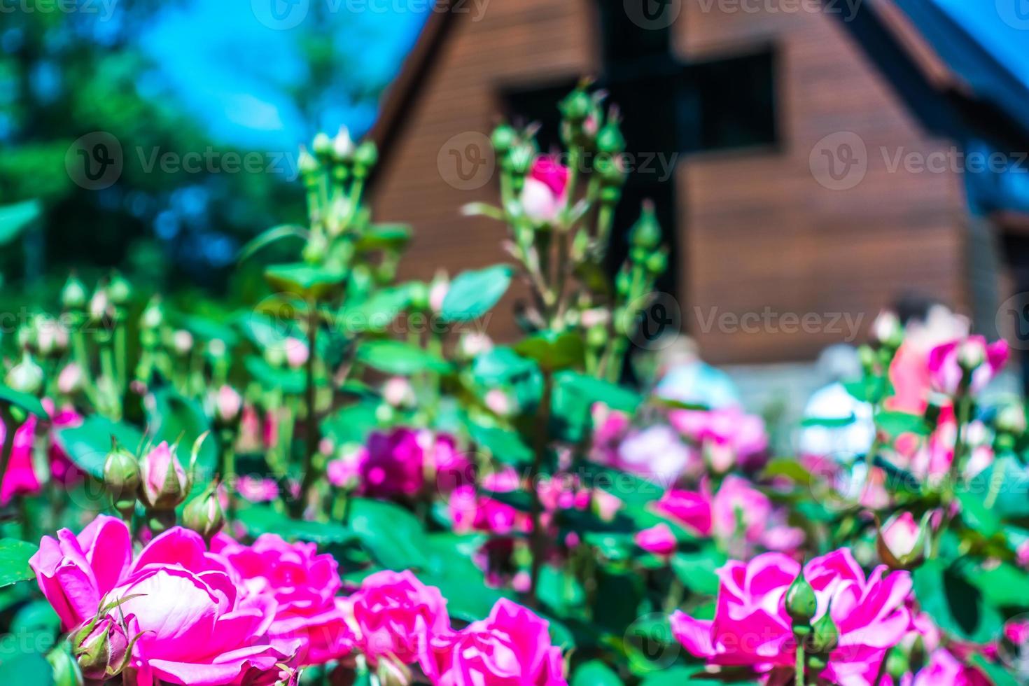 Charlotte, nc April 2019 - in der Billy Graham Public Library an einem sonnigen Tag sunny foto