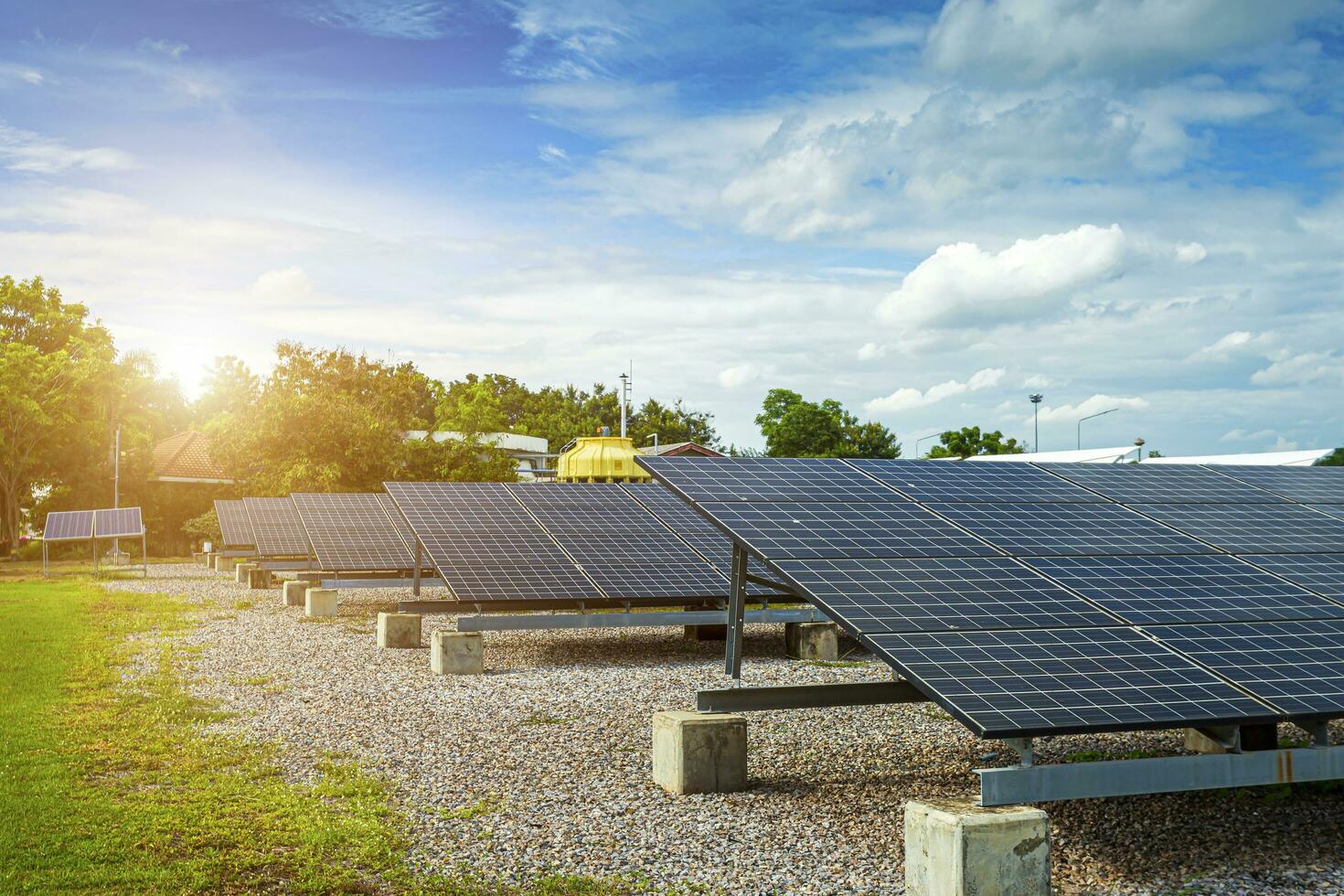 Photovoltaik Module Solar- Leistung Pflanze und Blau Himmel Sonnenuntergang Hintergrund, Alternative Energie Konzept. foto