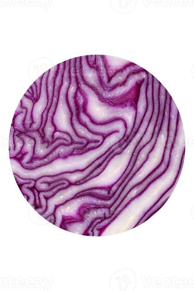 frischer schöner rotkohl mit strukturierten blättern auf einem dunklen betonhintergrund foto