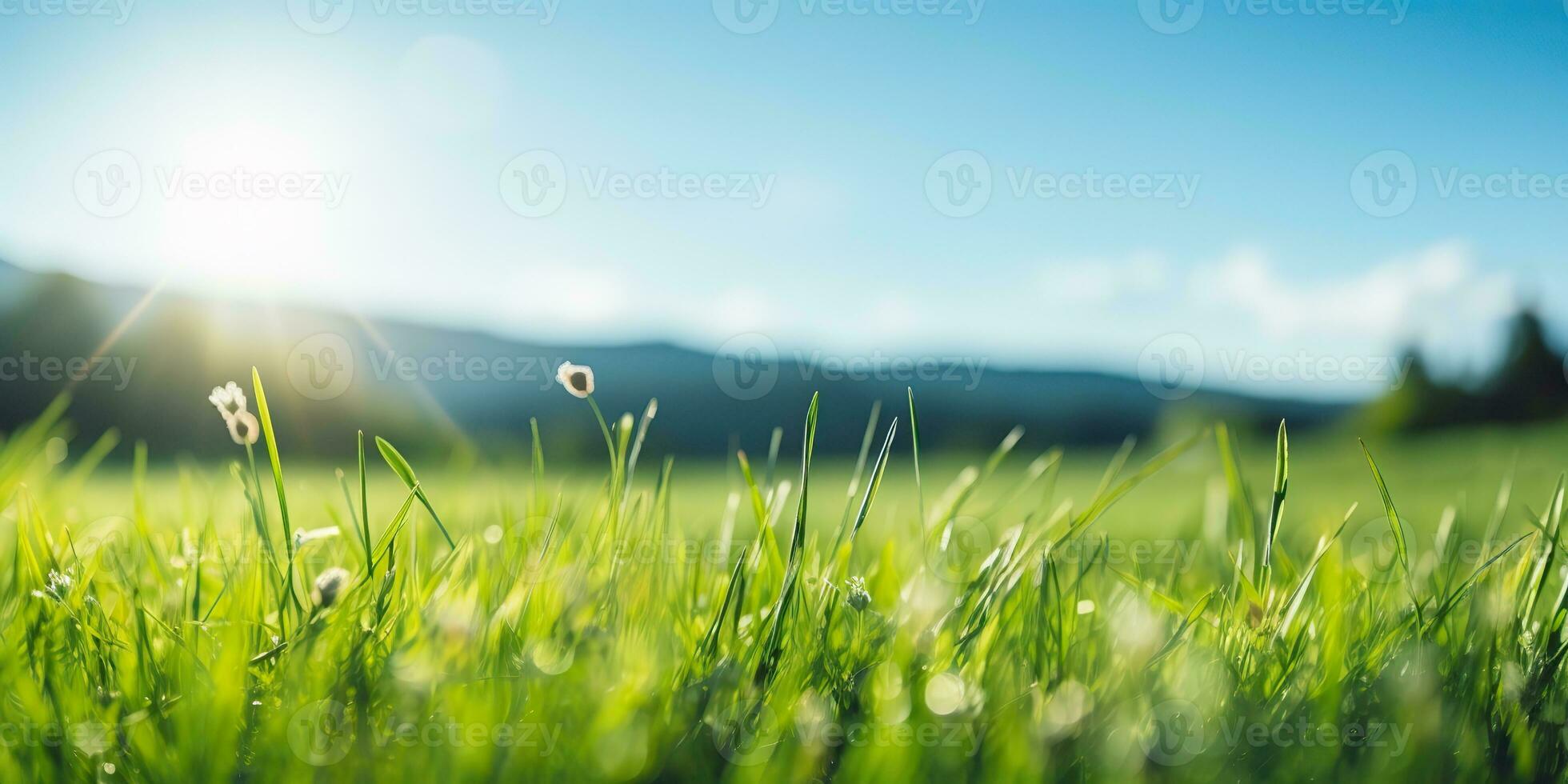 ai generiert. ai generativ. Grün frisch Gras Feld Wiese mit Blau Himmel Horizont Hintergrund. spotten oben inspirierend wild draussen Natur. Grafik Kunst foto
