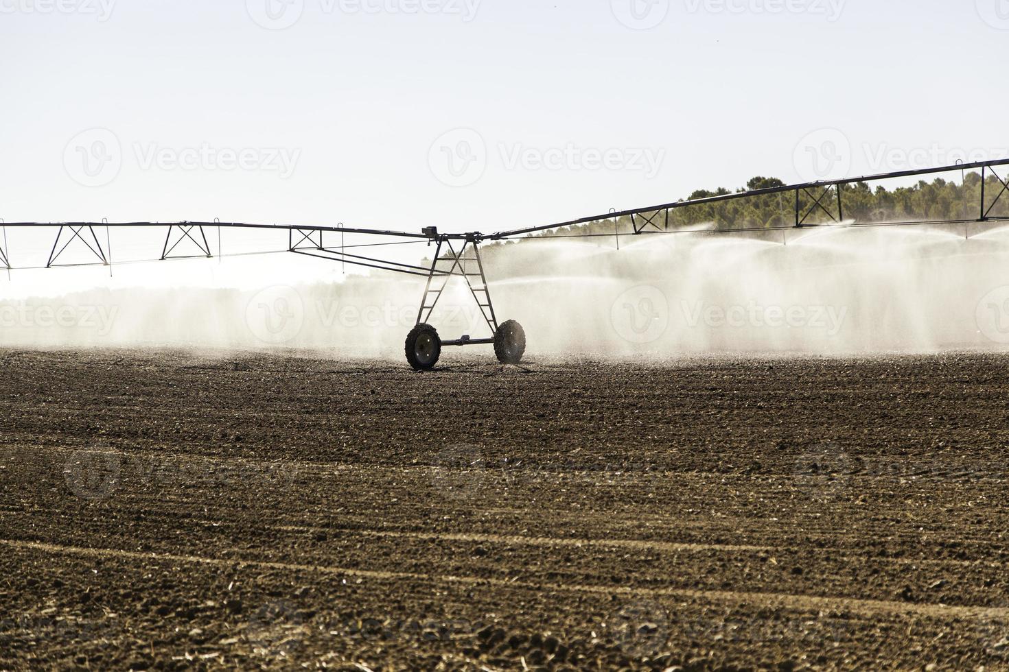 automatisches Bewässerungssystem in einem Getreidefeld foto