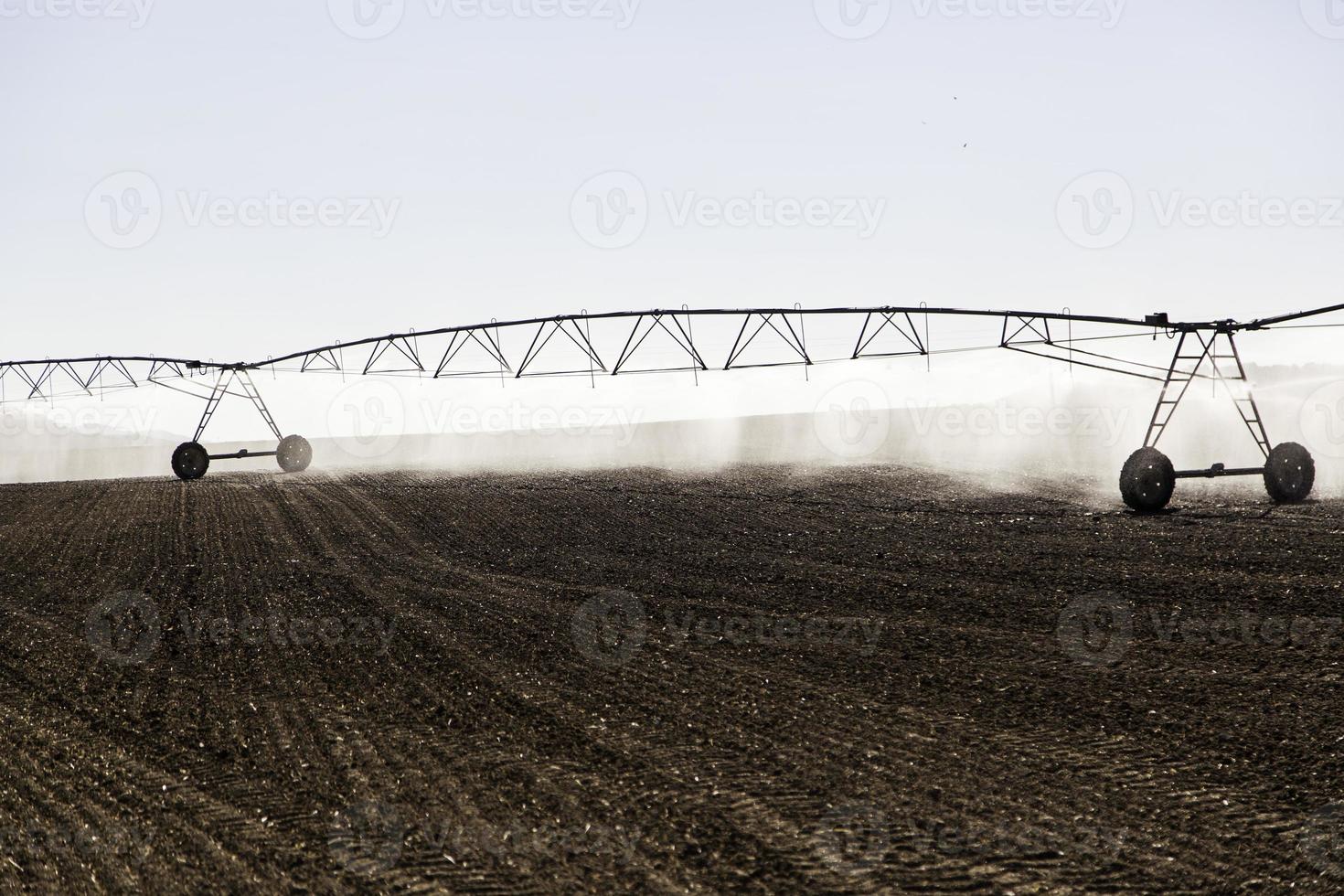 automatisches Bewässerungssystem in einem Getreidefeld foto