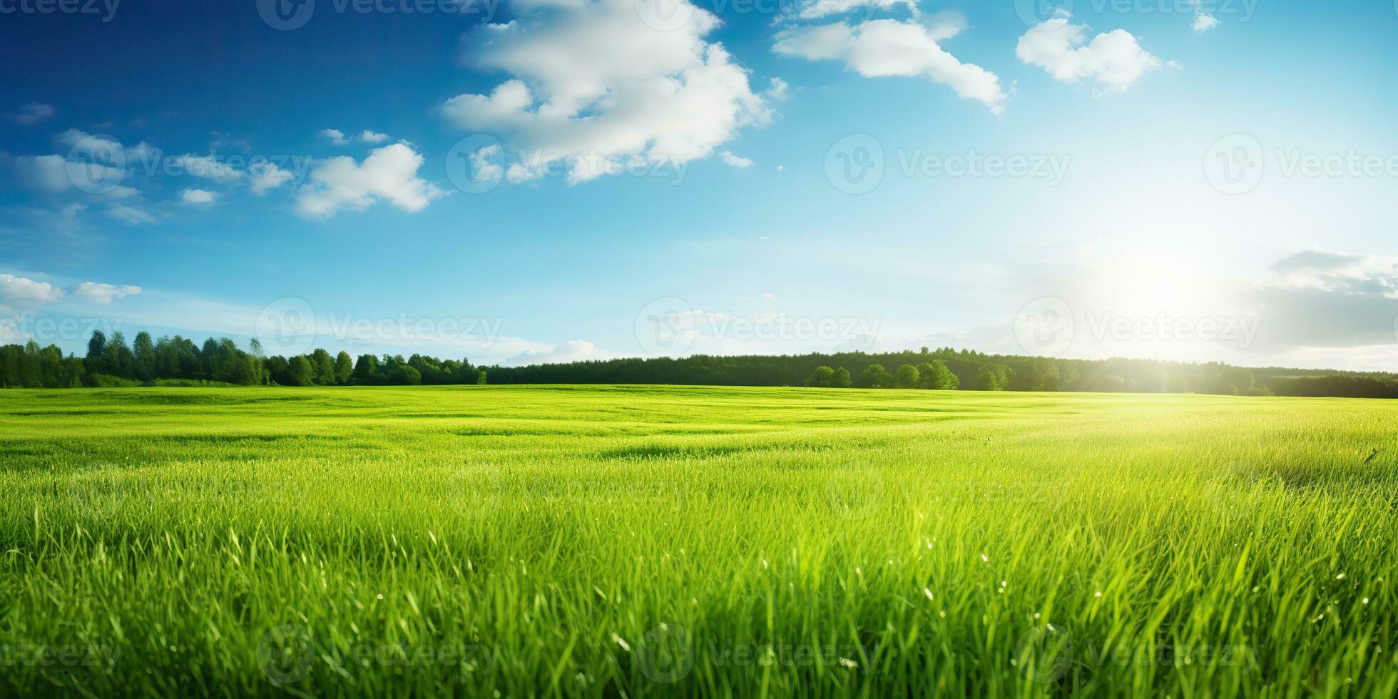 ai generiert. ai generativ. Grün frisch Gras Feld Wiese mit Blau Himmel Horizont Hintergrund. spotten oben inspirierend wild draussen Natur. Grafik Kunst foto