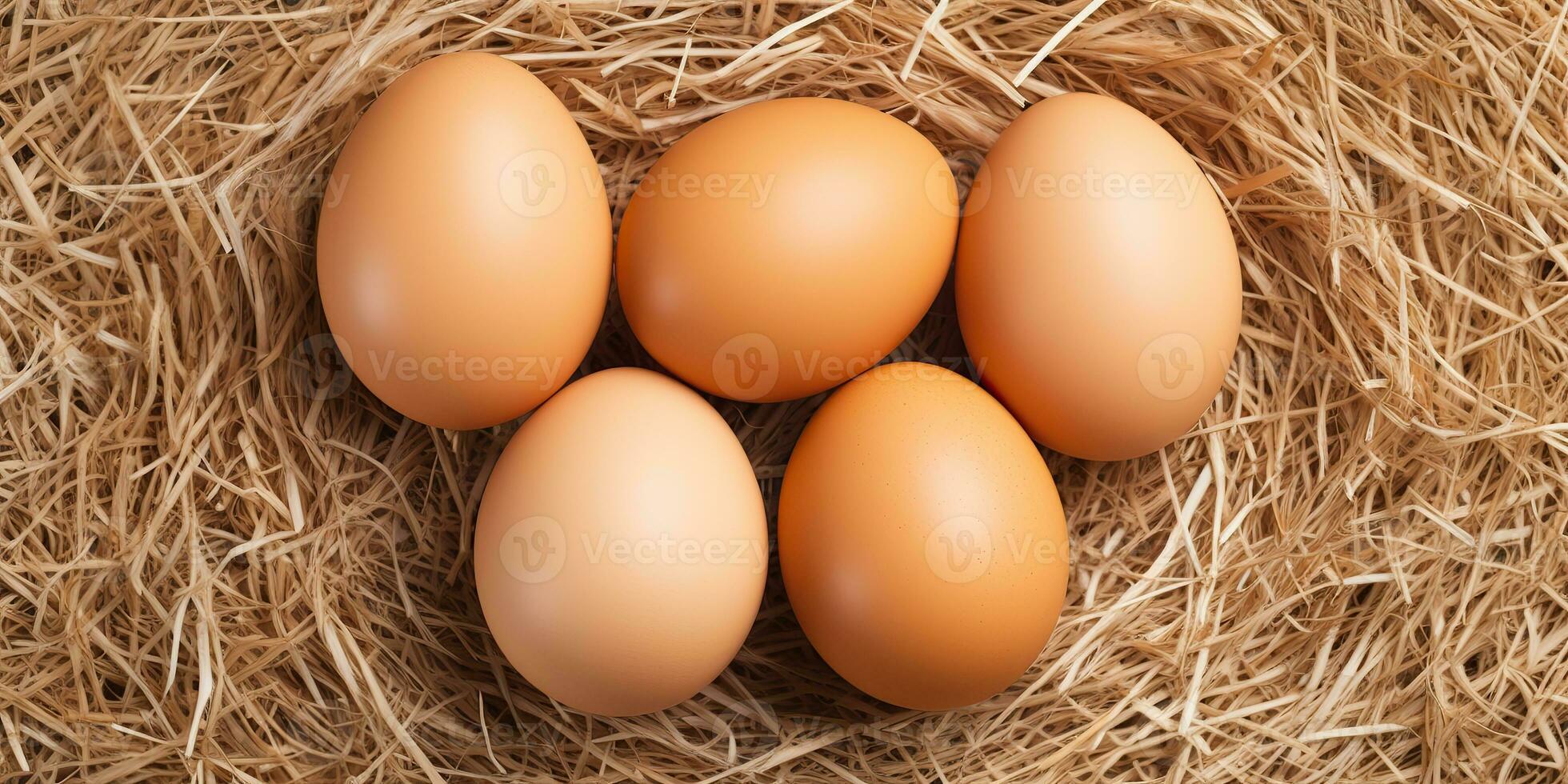 ai generiert. ai generativ. Öko organisch Hähnchen Henne Eier Vorlage Hintergrund spotten hoch. Grafik Kunst foto