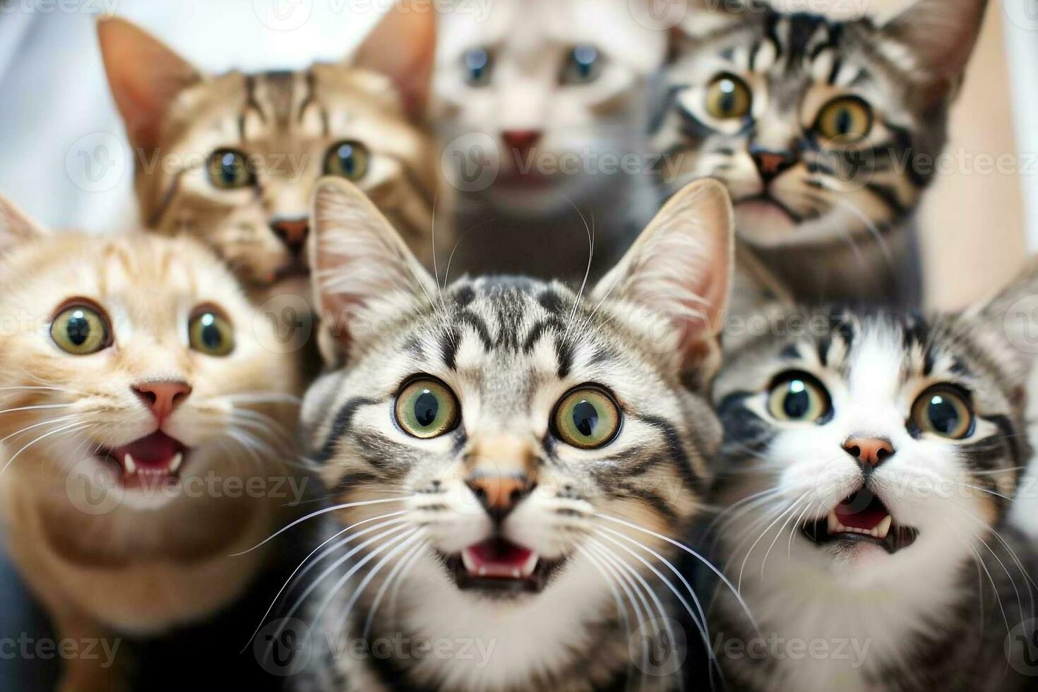 Porträts Gruppe von Katzen komisch Gesichter.generativ ai. foto