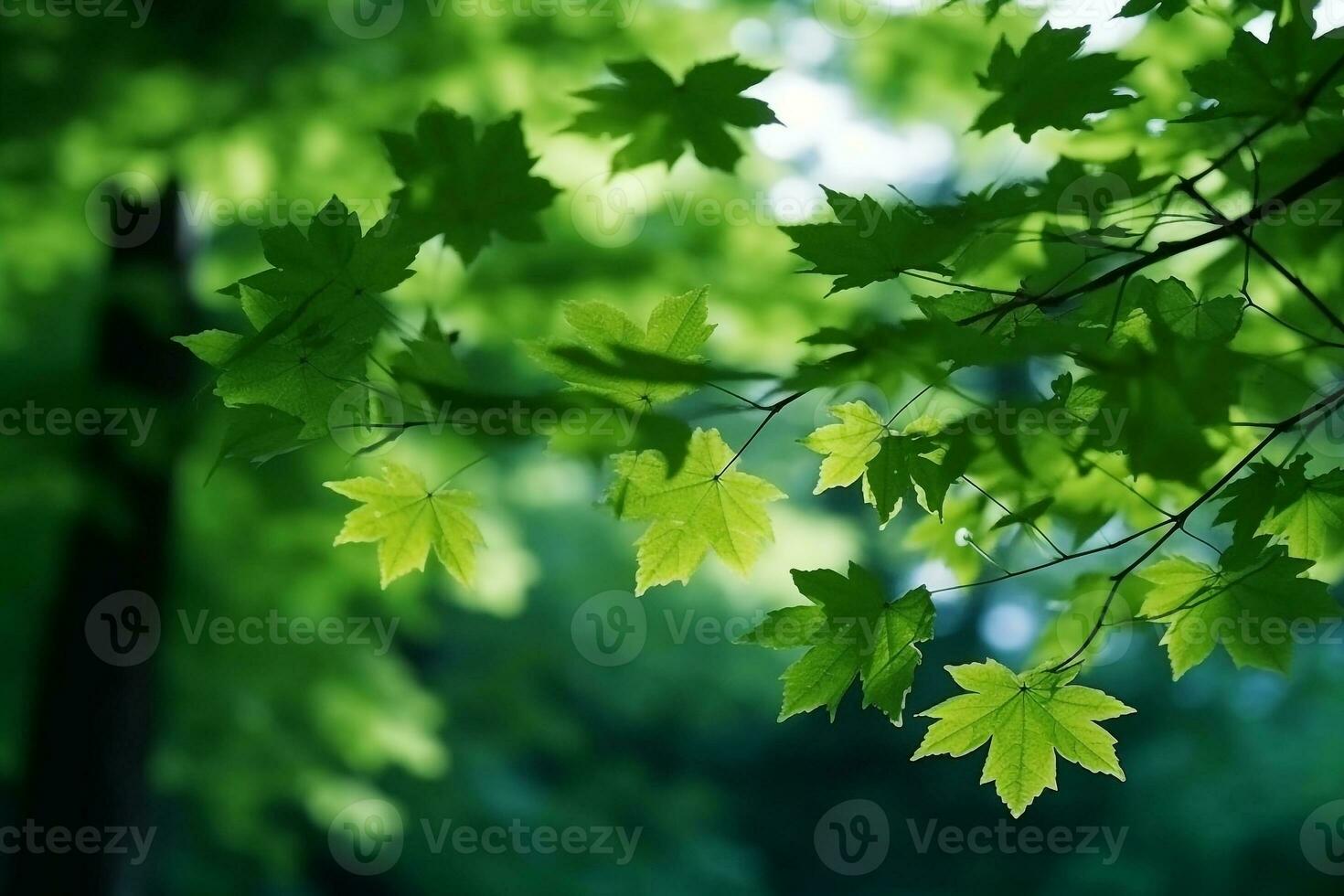 schließen oben Grün Ahorn mit Bokeh hintergrund.generativ ai. foto