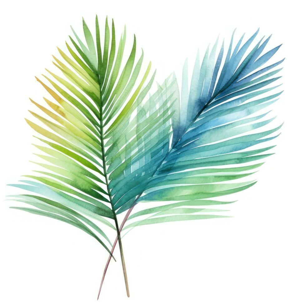 Grün Aquarell Palme Blatt isoliert foto