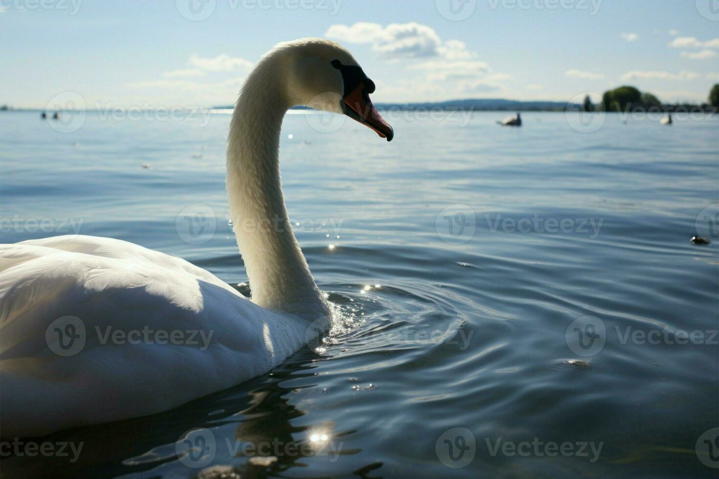 anmutig Schwan gleitet, gelassen treibend auf still Wasserlandschaft ai generiert foto