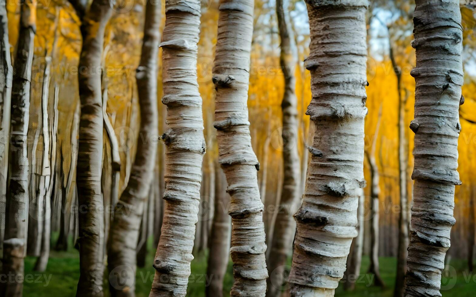 baumartig Tapisserie, ein Makro Reise durch das kompliziert Texturen von Baum bellen. ai generiert foto