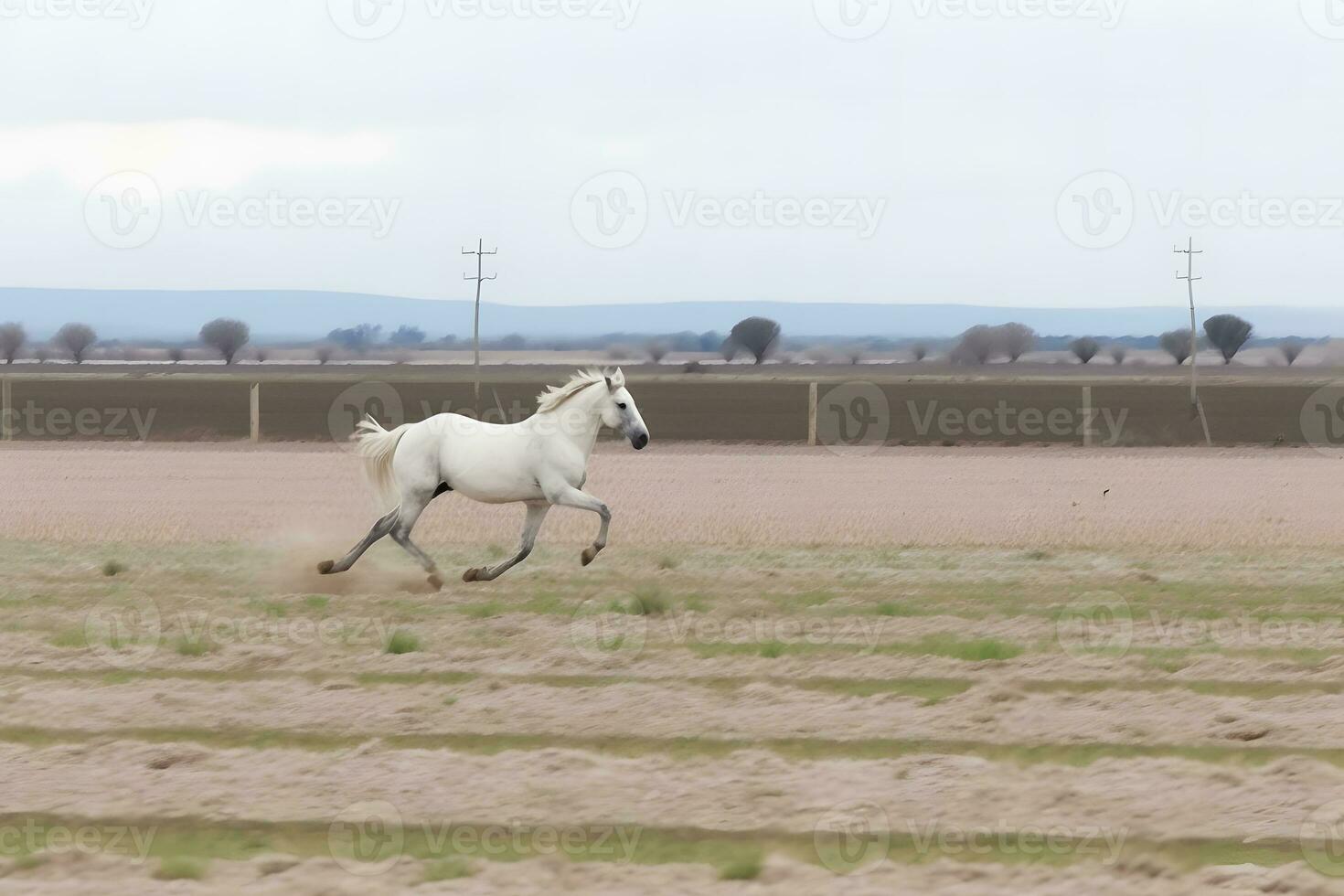 jung braun Pferd galoppieren, Springen auf das Feld auf ein neutral Hintergrund. neural Netzwerk ai generiert foto