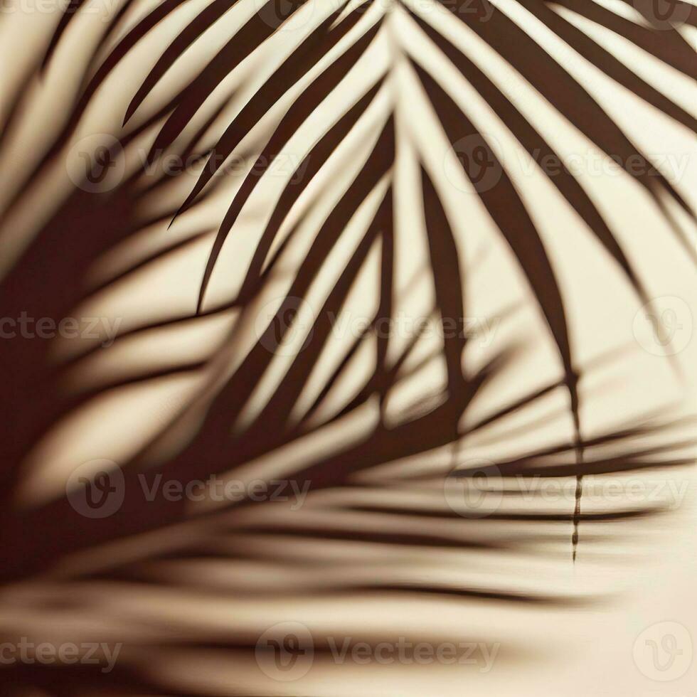 schön abstrakt Banner mit Grün Palme Blätter Schatten Beige auf ein Weiß Hintergrund. natürlich Blatt Konzept. Grün natürlich Hintergrund. Palme Baum Blatt Textur. Sommer- Konzept. generativ ai foto