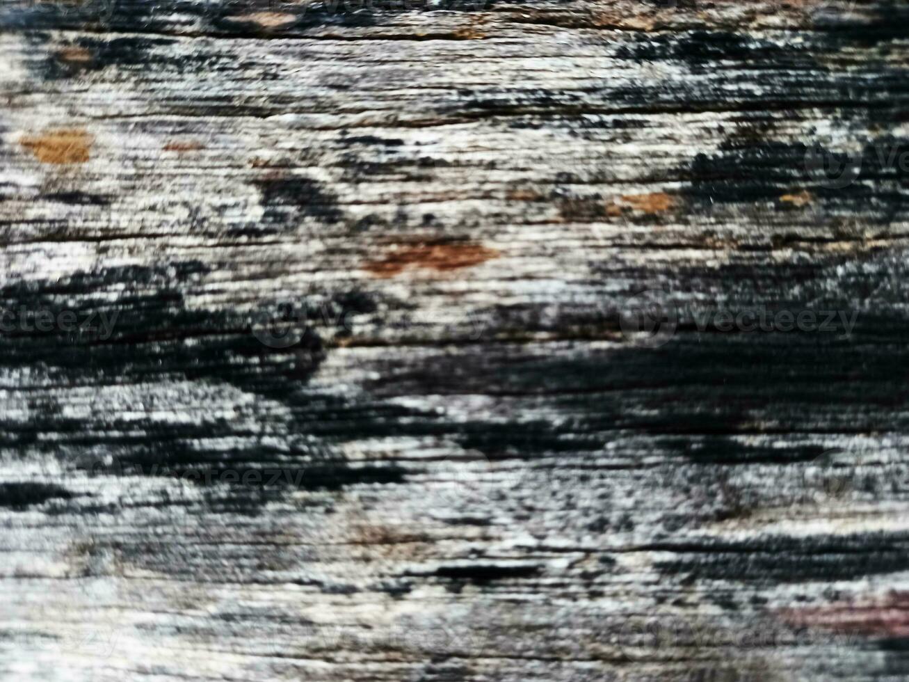 hölzern Hintergrund, braun Holz, Textur., abstrakt , Hintergrund, leer, Vorlage, alt Weiß gemalt Peeling rustikal hell Licht hölzern Textur - - Holz Hintergrund schäbig, foto