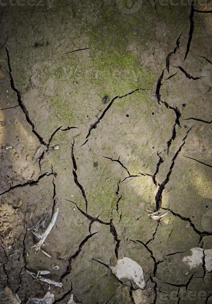 trockener Schlammboden durch Trockenheit foto