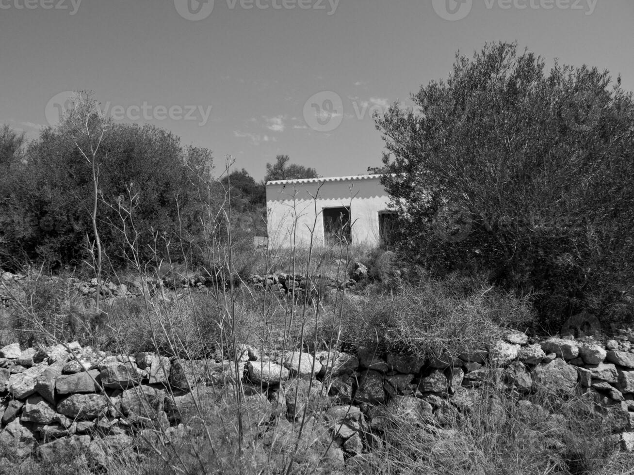 die insel ibiza foto