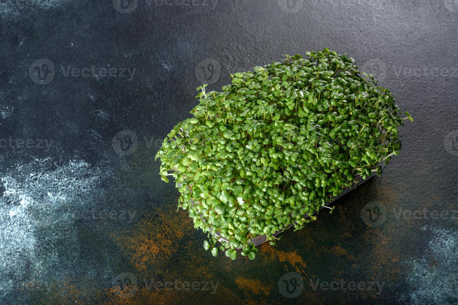 Box mit frischen Sprossen von Mikrorettichgrün zum Hinzufügen von gesunden Lebensmitteln zu Gerichten foto