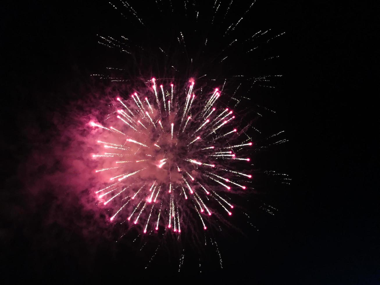 Rosa Feuerwerk am schwarzen Himmel foto