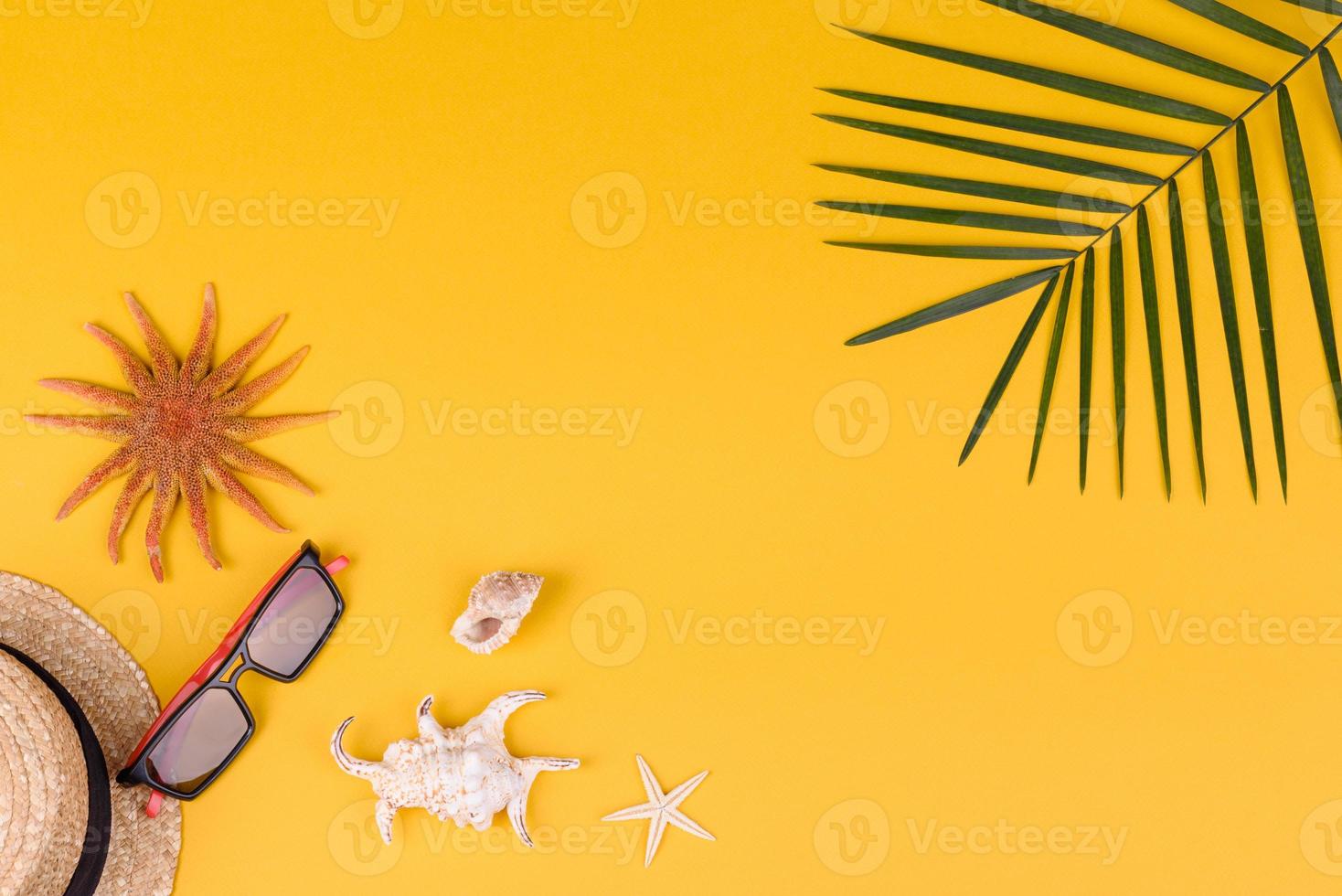 Strandaccessoires mit Muscheln und Seesternen auf farbigem Hintergrund foto