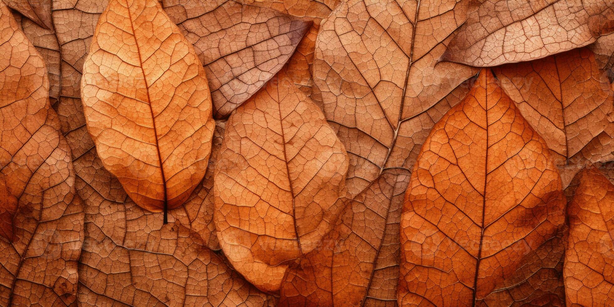 Nahansicht Herbst trocken Blatt texturiert Hintergrund. erstellt mit ai Werkzeuge foto