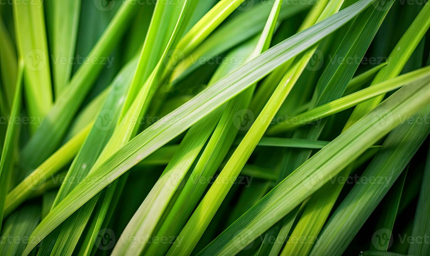 frisch üppig Grün Gras auf Wiese mit Tropfen von Wasser Tau. Nahansicht Makro. zum Banner, Postkarte, Buch Illustration. erstellt mit generativ ai Werkzeuge foto