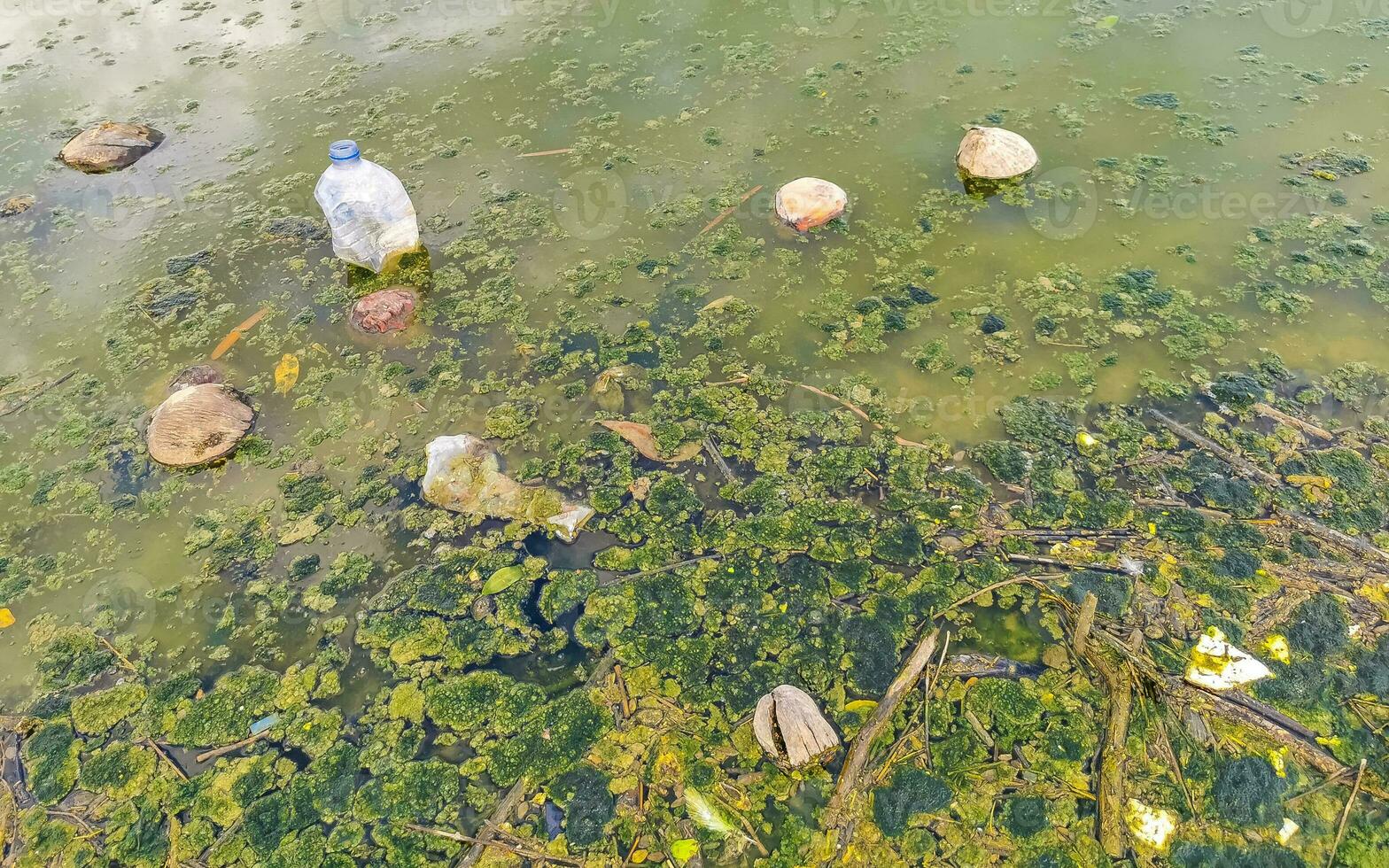 schmutziger grüner verschmutzter und müllfluss in puerto escondido mexiko. foto