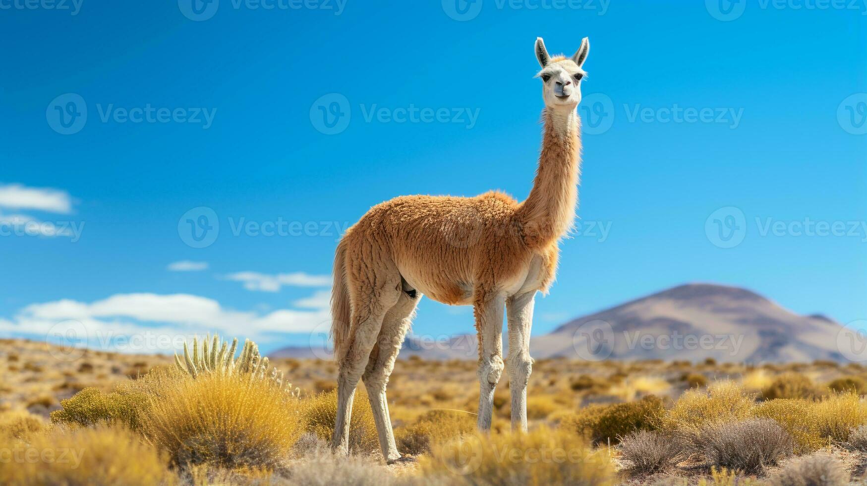 Foto von ein Vicuna unter Blau Himmel. generativ ai