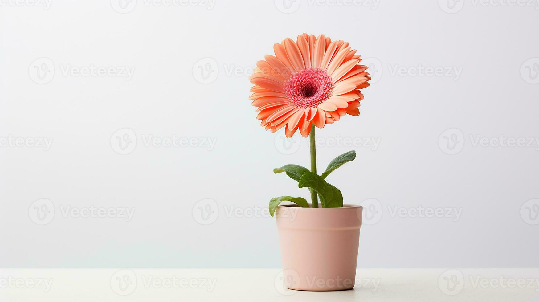 Foto von Gerbera Blume im Topf isoliert auf Weiß Hintergrund. generativ ai