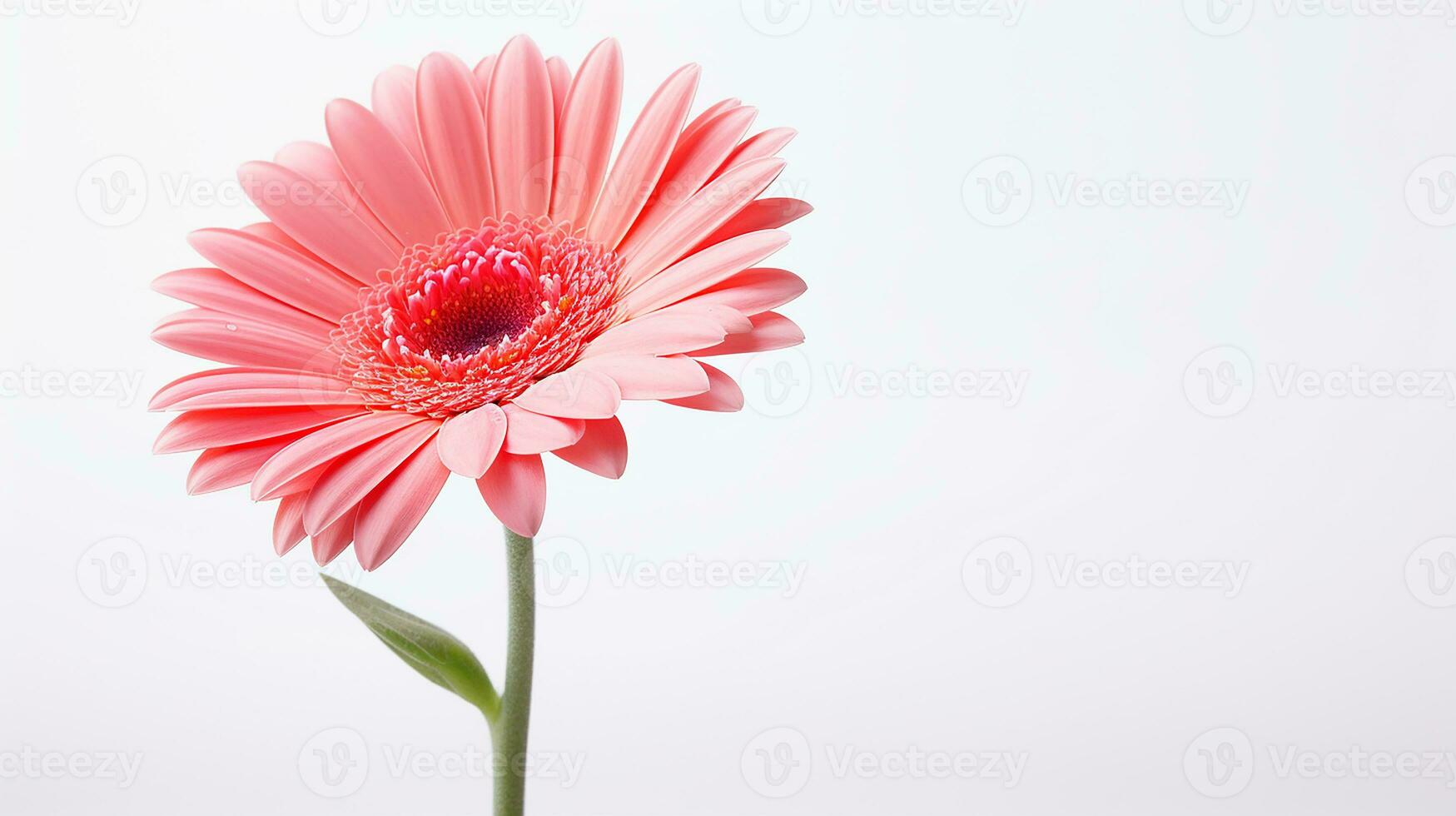 Foto von schön Gerbera Blume isoliert auf Weiß Hintergrund. generativ ai