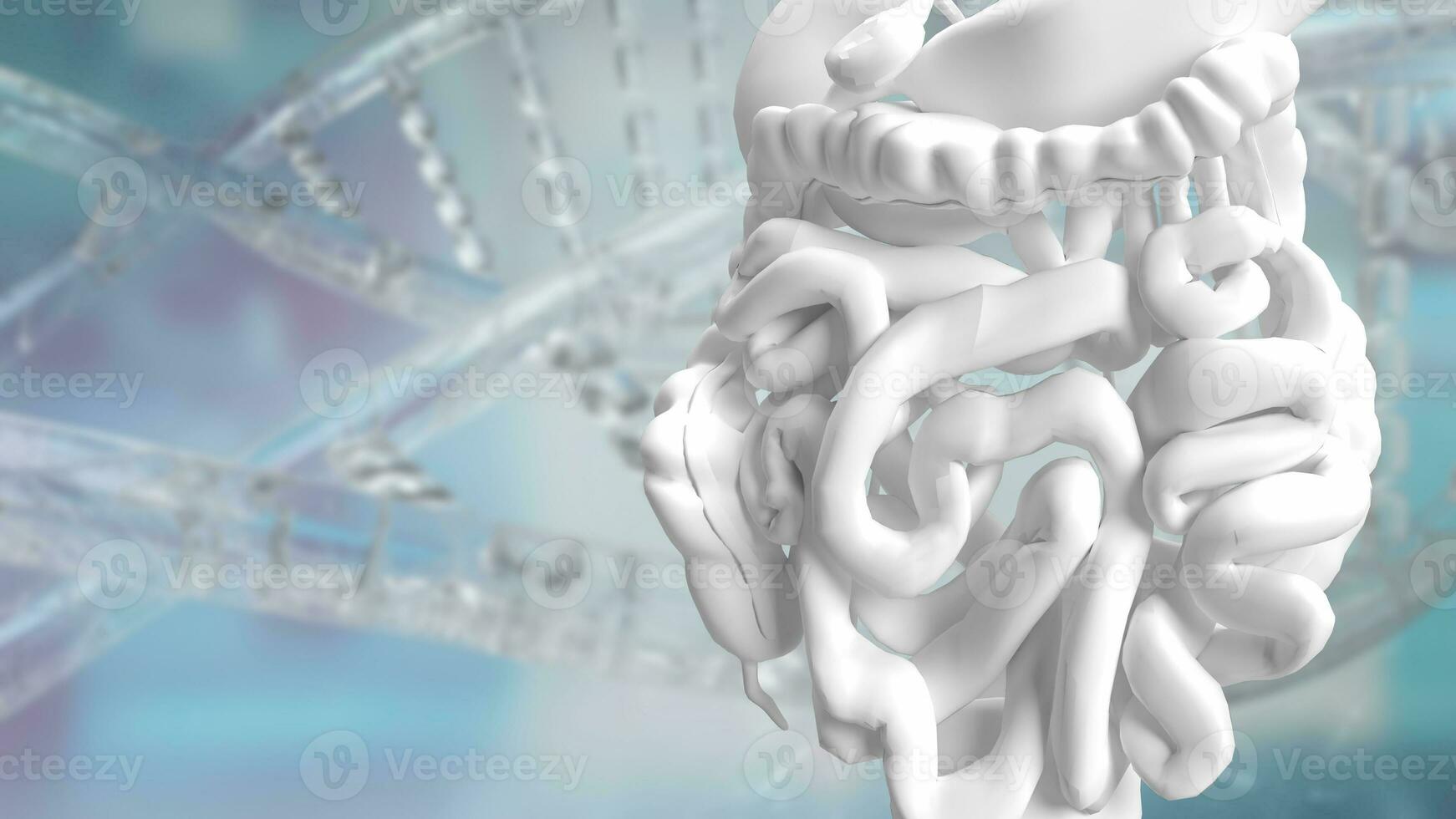 das Eingeweide zum Gesundheit und medizinisch Konzept 3d Rendern foto