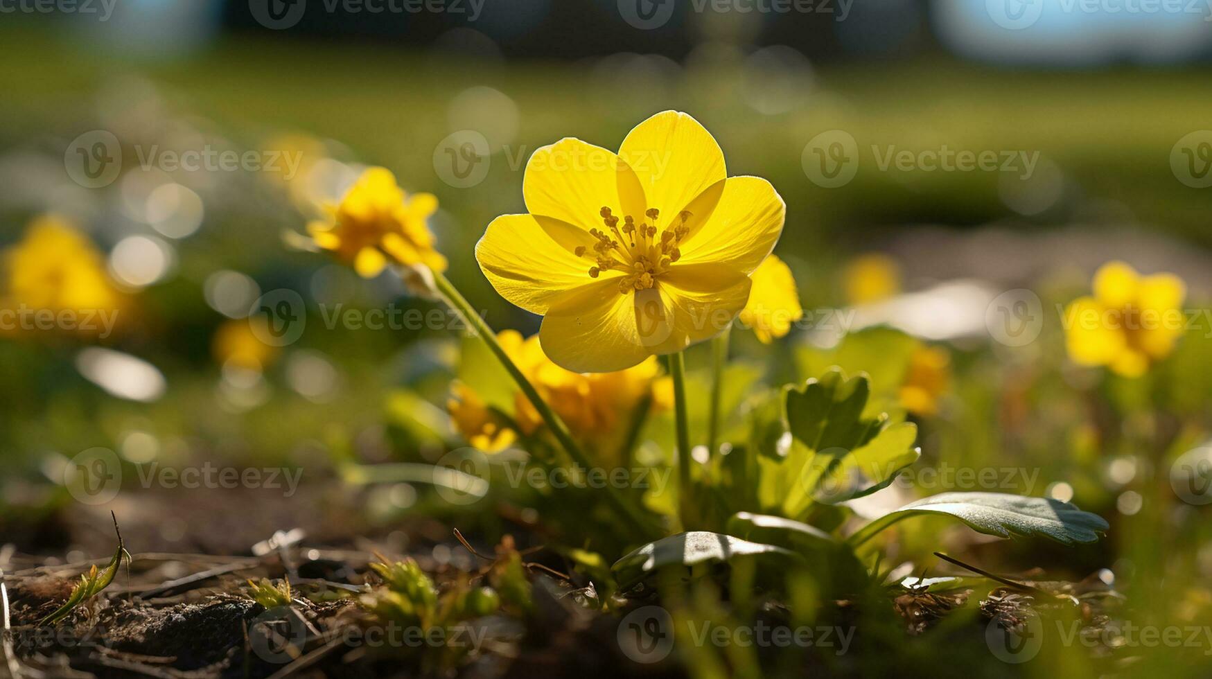 Foto von schön Sumpf Ringelblume Blume isoliert auf Weiß Hintergrund. generativ ai