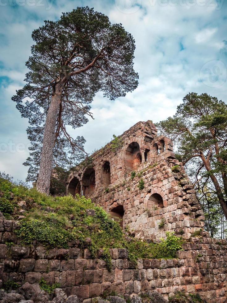 mittelalterliche burg landsberg in vogesen, elsass. alte Ruinen in den Bergen. foto