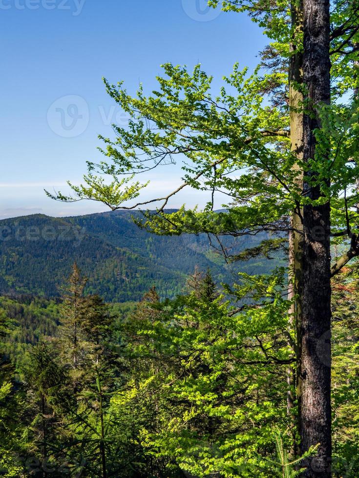 atemberaubende landschaften der vogesen in frankreich foto