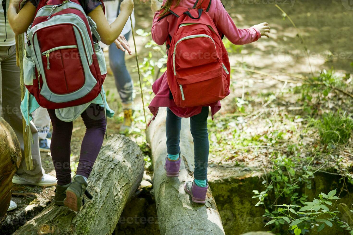 Mädchen mit Rucksäcke balancieren auf Protokolle im Wald foto