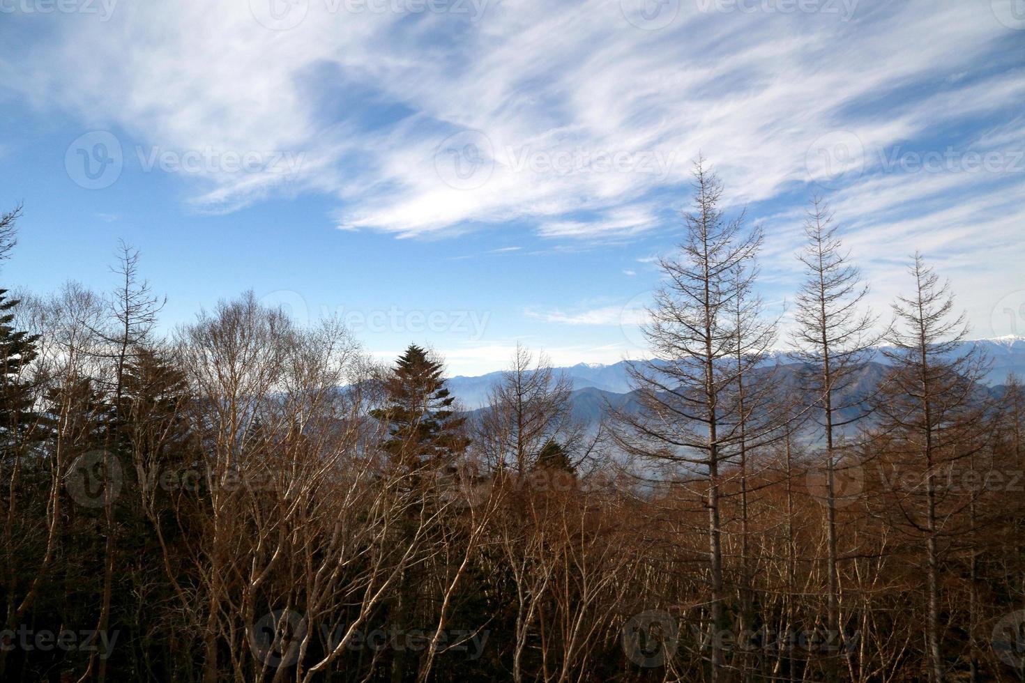 Natur im Herbst foto