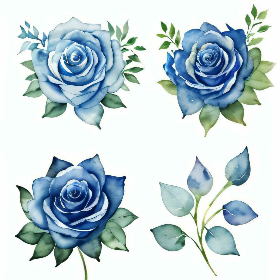 Aquarell Blau Rosen Clip Art foto