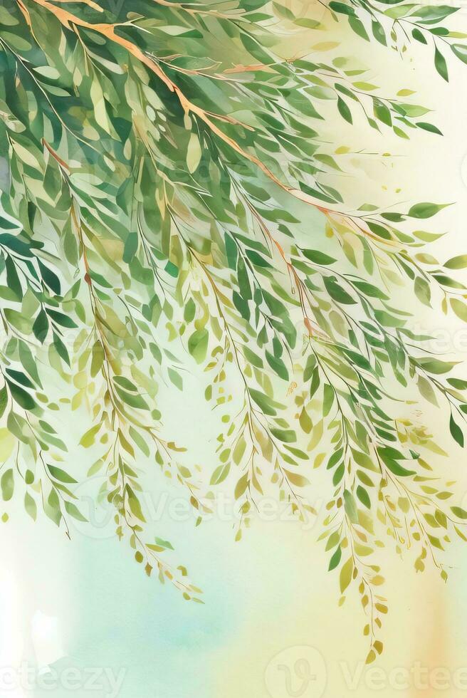 Lexur Aquarell Eukalyptus Hintergrund foto