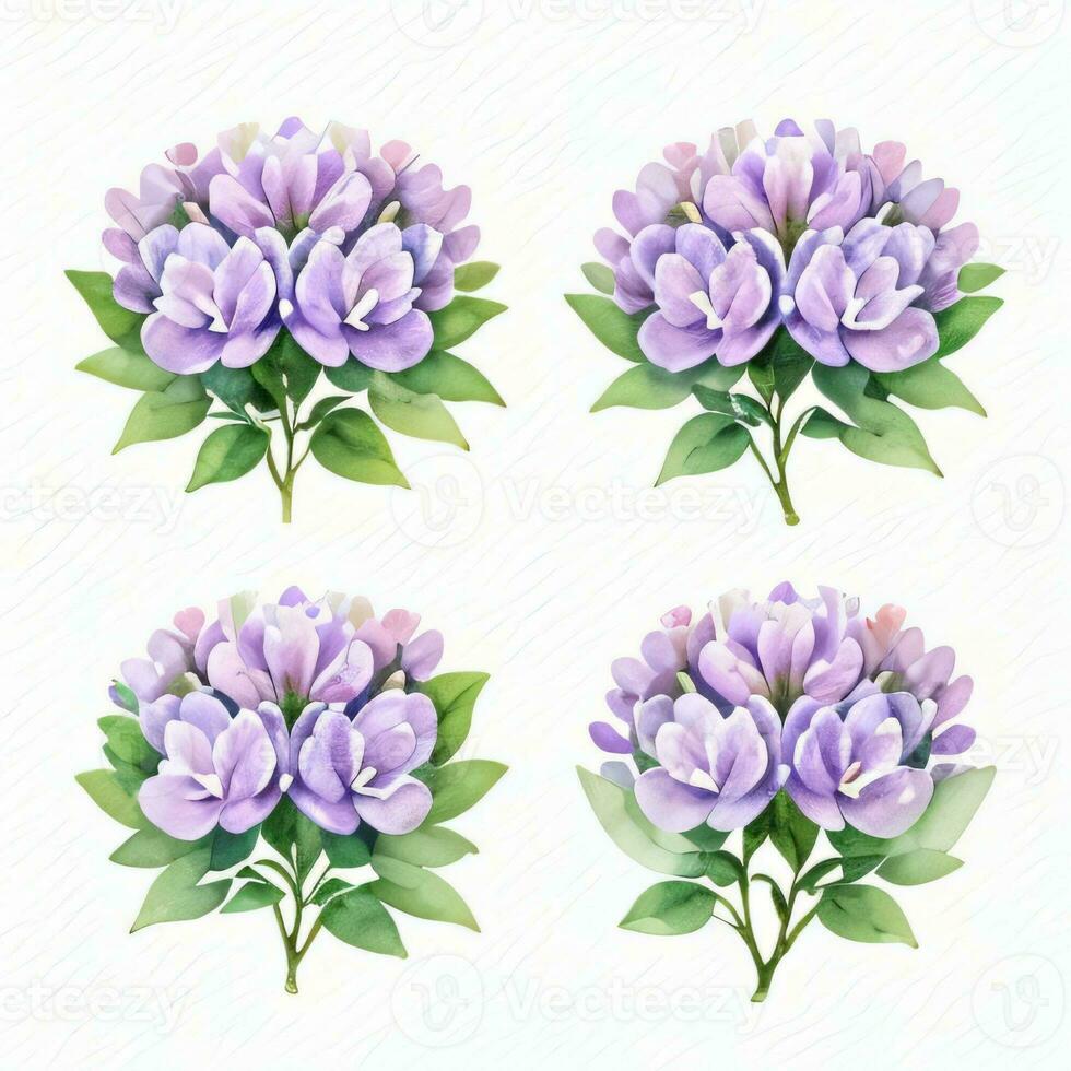 Aquarell lila Blumen Clip Art foto