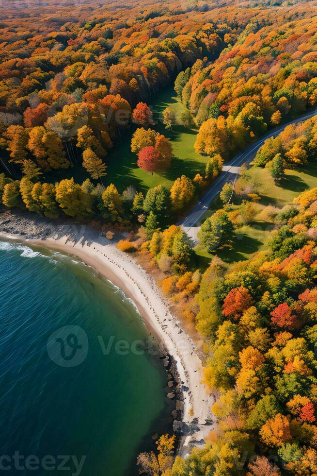 Foto von das Herbst Wald Drohne Aussicht